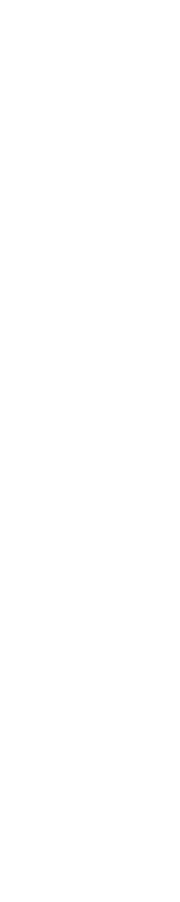 映画『夜、鳥たちが啼く』